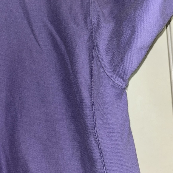 Lavender champion sweater - Picture 5 of 10
